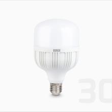 لامپ LED جاینت 30 وات پایه E27